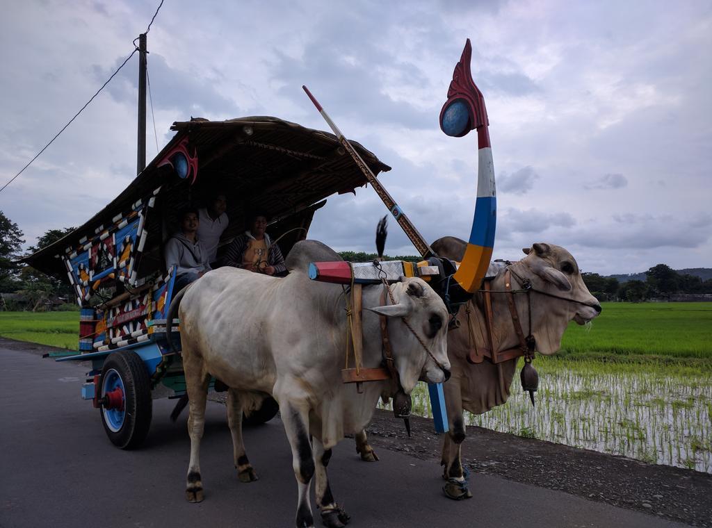 Joglo Ayem Tentrem Prambanan Dış mekan fotoğraf